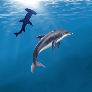Watercolor dolphin on the background of the ocean blue. Dolphin and hammer Shark 