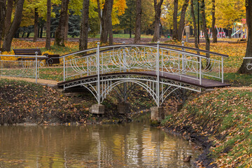 small bridge in the park
