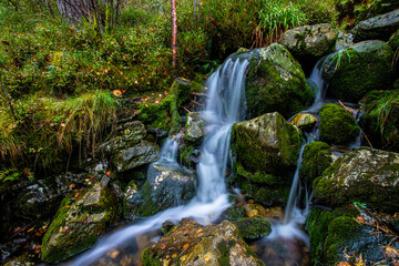 Ytra D&oslash;rvika, Forsand, Norway
