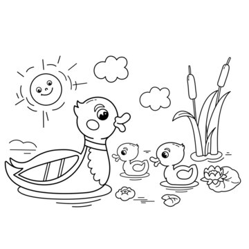 Coloring Page Outline of cartoon duck with ducklings on the pond. Farm animals. Coloring book for kids.