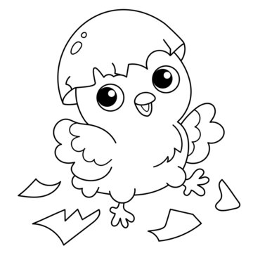 Coloring Page Outline of cartoon chick with egg. Newborn chicken. Birthday. Coloring book for kids.