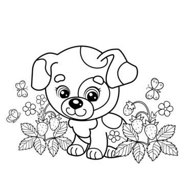 Coloring Page Outline Of cartoon little dog on strawberry clearing. Cute puppy with butterfly. Pet. Coloring book for kids