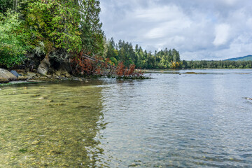 Pillar Point Landscape 7