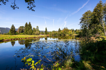 Oberstdorf - View to autumn scenery  nearby Lake Moorweiher / Bavaria