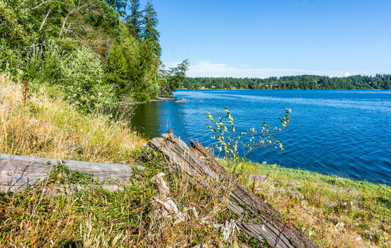 Woodard Images Browse 31 Stock Photos, Vectors, and Video Adobe Stock