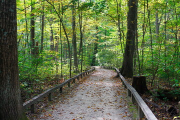 Fototapeta premium Inniswood Metro Gardens, Westerville, Ohio