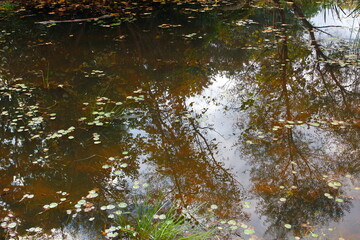 Inniswood Metro Gardens, Westerville, Ohio