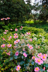 Inniswood Metro Gardens, Westerville, Ohio