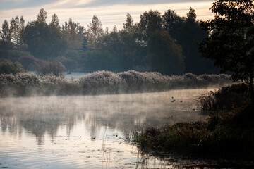 calm misty October morning, river, ducks on water, forest ahead, frost on reeds, reflection of river bank. Latvia landscape