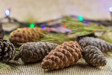 Pinecones with branches on a light brown background, space for text, Christmas decorations.