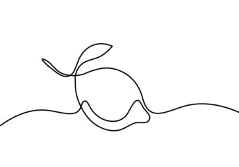 Drawing line lemon on the white background. Vector