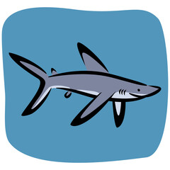 Shark vector  illustration