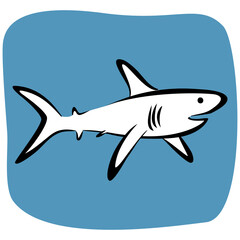 Shark vector drawing