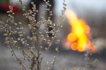Dark moody gray background of dry grass in dusk with defocus flame of fire, authentic camping mood in cloudy weather