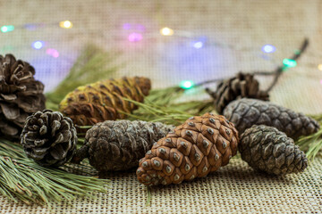 Pinecones with branches on a light brown background, space for text, Christmas decorations.