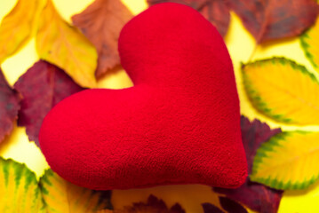 Red heart on  background of colorful autumn leaves.