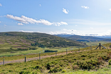 Fototapeta na wymiar Scottish sunny landscape near Inverness - Scotland