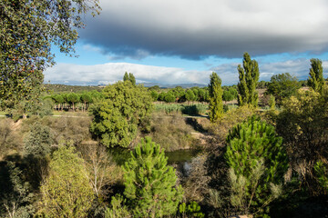 Wild nature park near the city of Madrid