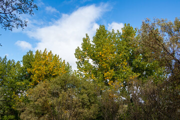 Naklejka premium Wild nature park near the city of Madrid