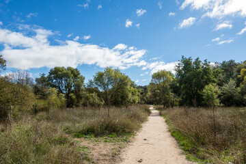 Fototapeta na wymiar Wild nature park near the city of Madrid
