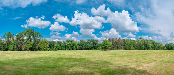 Magical panoramic view of deciduous forest in Summer with blue sky and clouds, near Magdeburg, Germany, sunny morning.