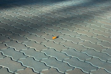 birch leaf with autumn coloring on blue paving stones