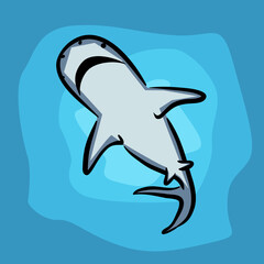 Shark vector drawing