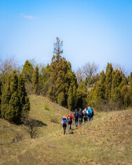 Fototapeta premium hiking in the woods
