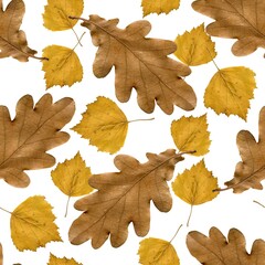 Seamless pattern in a square. Autumn leaves brown oak leaves, yellow birch leaves