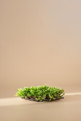 Natural podium for organic cosmetic product. Green moss isolated on pastel background with shadow....