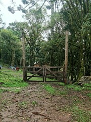 serra gaúcha