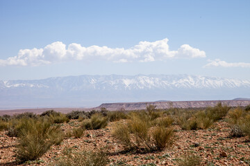 mountain peaks in a misty haze