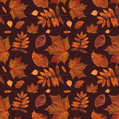 live scanned leaves autumn pattern