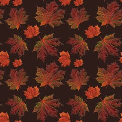 live scanned leaves autumn pattern