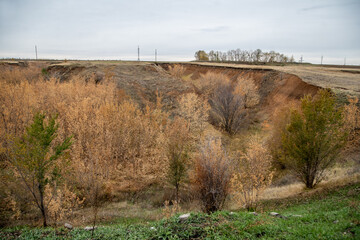 autumn landscape in a ravine