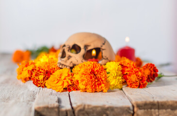 Skull and cempasuchil flowers or marygold. Day of the dead concept dia de los muertos