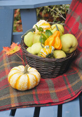 Autumn apple farm picking activities, seasonal harvest with decorative elements at farmers market. 
