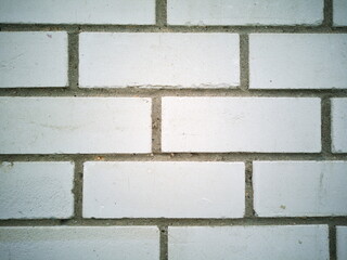 Light background. White brick wall.