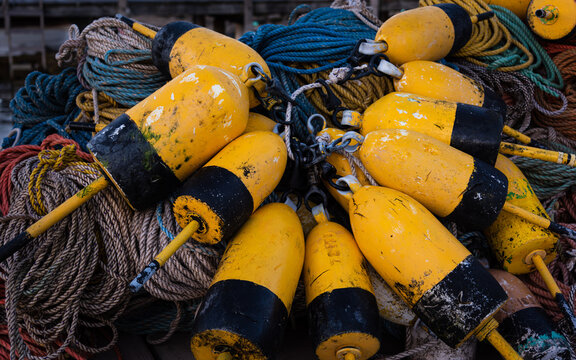 Maine lobster buoys 1