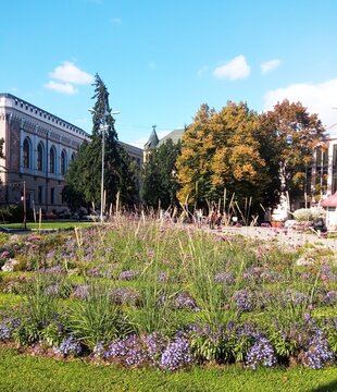 garden with flowers