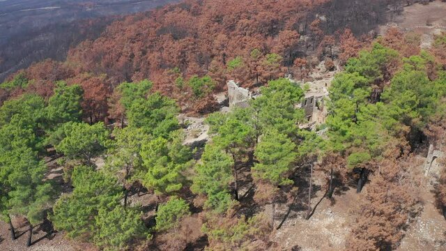 Black hills and mountain peaks. View from above. Drone shooting. Taurus Mountains. Turkey. Manavgat. Seleucia. Forest fire in the mountains. Burnt tall pines. Ancient city on the Mediterranean coast o