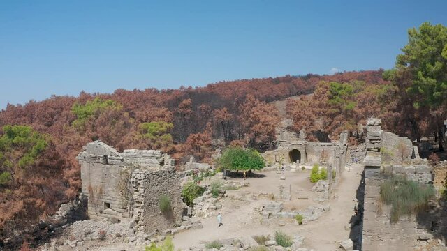Taurus Mountains. Turkey. Manavgat. Seleucia. Forest fire in the mountains. Burnt tall pines. Black forest. Charred tree trunks. Drone shooting. Tourists are walking around in the remaining of ancient