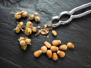 Hazelnuts with nutcracker on slate worktop, background. Flat lay, top view.