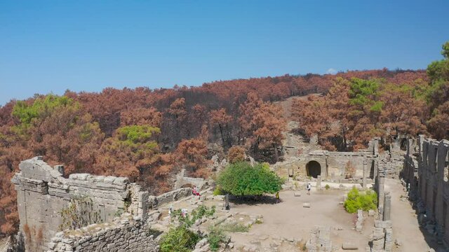 Taurus Mountains. Turkey. Manavgat. Seleucia. Forest fire in the mountains. Burnt tall pines. Black forest. Charred tree trunks. Drone shooting. Tourists are walking around in the remaining of ancient