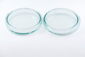 Empty glass Petri dishes on white background