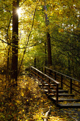 Autumn landscape. An old wooden staircase in the park, sanctified by the sun through the foliage. Back light - 461915964