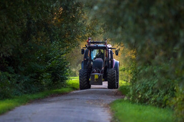 Duży traktor na drodze w alejce drzew