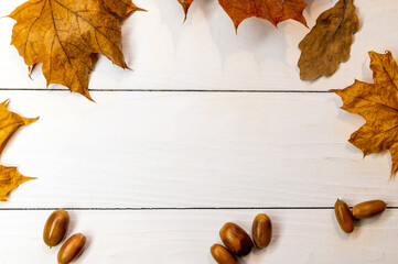 Autumn, autumn creative composition of autumn leaves. 