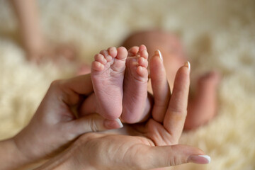 hands hold the legs of the newborn