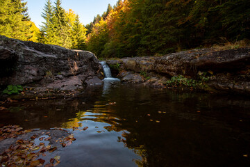 autumn leaves on the water